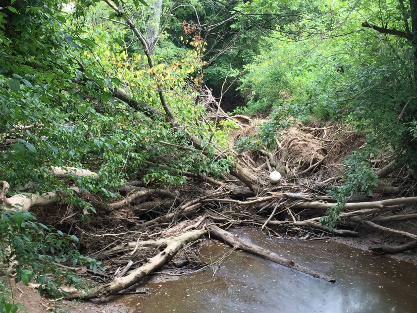 Stream Debris Removal Program