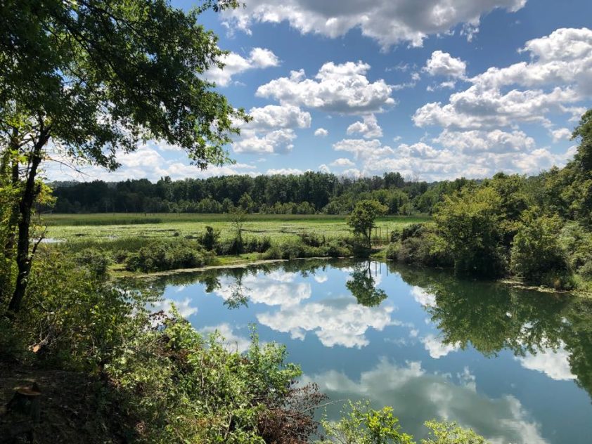 Coal Ridge Park & Trails