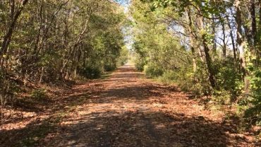 fall-on-the-trail